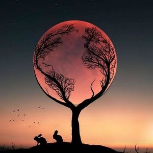 Meet your Posher, Trisha